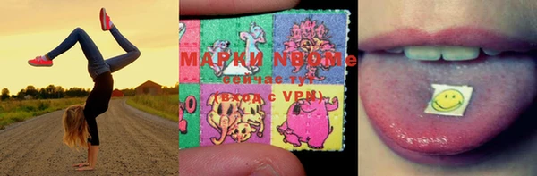 сатива Белая Холуница