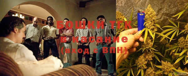 хмурый Вяземский