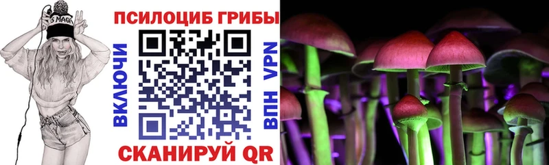 продажа наркотиков  Новый Оскол  Псилоцибиновые грибы Magic Shrooms 